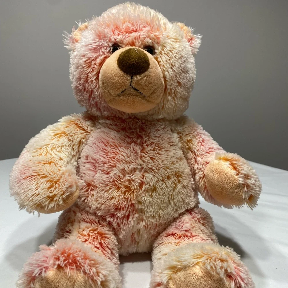 Build-A-Bear | Toys | Vintage Build A Bearmulticolor 954 Pa9859hk